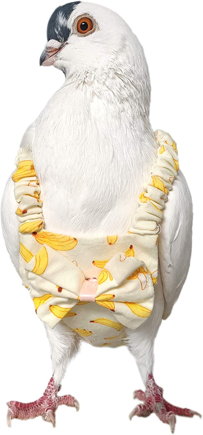 Pigeon Dove Diaper Pants with Leash for Pigeon Dove - Image 2